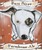 Jolly Pumpkin Bam Biere Beer
