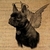 Mini_profile