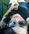 Mini_profile