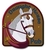 Mini_profile